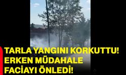 Hocalar'da tarla yangını korkuttu! Erken müdahale faciayı önledi