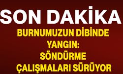 Burnumuzun dibinde yangın: Söndürme çalışmaları sürüyor.
