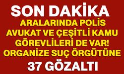 Aralarında polis, avukat ve çeşitli kamu görevlileri de var! Organize suç örgütüne 37 gözaltı