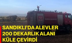Sandıklı’da alevler 200 dekarlık alanı küle çevirdi