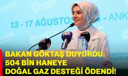 Bakan Göktaş duyurdu: 504 bin haneye doğal gaz desteği ödendi