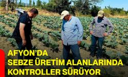 Afyon’da sebze üretim alanlarında kontroller sürüyor