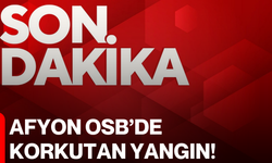 Afyon OSB’de korkutan yangın!
