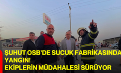 Şuhut OSB’de Sucuk Fabrikasında Yangın! Ekiplerin Müdahalesi Sürüyor