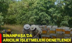Sinanpaşa'da arıcılık işletmeleri denetlendi
