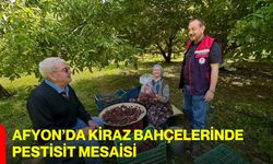 Afyon’da kiraz bahçelerinde pestisit mesaisi