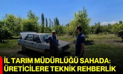 İl Tarım Müdürlüğü sahada: Üreticilere teknik rehberlik