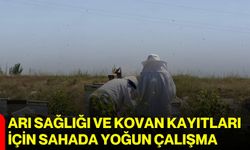 Arı sağlığı ve kovan kayıtları için sahada yoğun çalışma