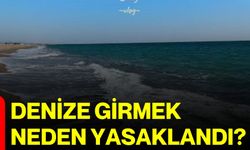 Denize girmek neden yasaklandı?
