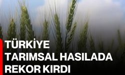 Türkiye, tarımsal hasılada rekor kırdı