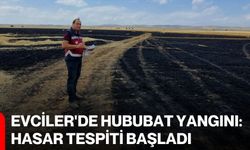 Evciler'de hububat yangını: Hasar tespiti başladı