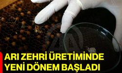 Arı zehri üretiminde yeni dönem başladı