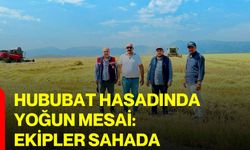 Hububat hasadında yoğun mesai: Ekipler sahada