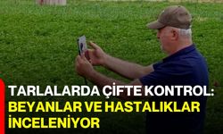 Tarlalarda çifte kontrol: Beyanlar ve hastalıklar inceleniyor