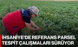 İhsaniye'de referans parsel tespit çalışmaları sürüyor