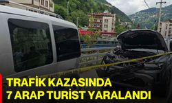 Trafik kazasında 7 Arap turist yaralandı