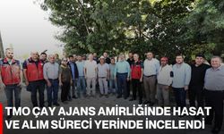 TMO Çay Ajans Amirliğinde hasat ve alım süreci yerinde incelendi