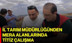 İl Tarım Müdürlüğünden mera alanlarında titiz çalışma