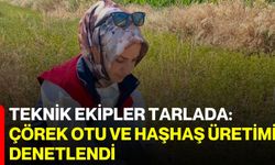 Teknik ekipler tarlada: Çörek otu ve haşhaş üretimi denetlendi