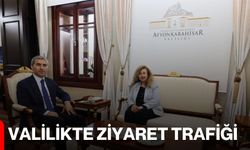 Valilikte ziyaret trafiği