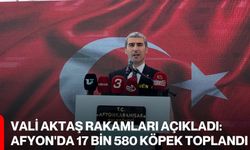 Vali Aktaş Rakamları Açıkladı: Afyon'da 17 Bin 580 Köpek Toplandı