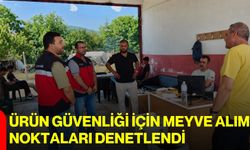 Ürün güvenliği için meyve alım noktaları denetlendi
