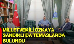Milletvekili Özkaya Sandıklı'da temaslarda bulundu