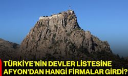 Türkiye'nin devler listesine Afyon'dan hangi firmalar girdi?