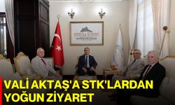 Vali Aktaş'a STK'lardan yoğun ziyaret