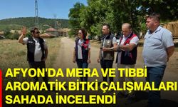 Afyon'da mera ve tıbbi aromatik bitki çalışmaları sahada incelendi