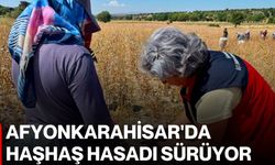 Afyonkarahisar'da haşhaş hasadı sürüyor