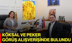 Köksal ve Peker görüş alışverişinde bulundu