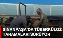 Sinanpaşa’da tüberküloz taramaları sürüyor
