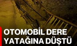 Otomobil dere yatağına düştü