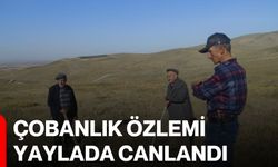 Çobanlık özlemi yaylada canlandı