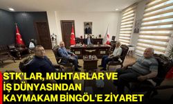 STK'lar, muhtarlar ve iş dünyasından Kaymakam Bingöl'e ziyaret