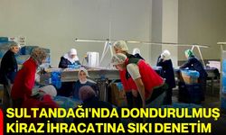 Sultandağı'nda dondurulmuş kiraz ihracatına sıkı denetim