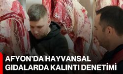 Afyon’da hayvansal gıdalarda kalıntı denetimi