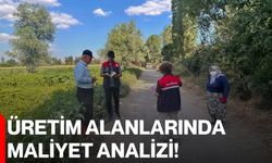 Üretim alanlarında maliyet analizi!