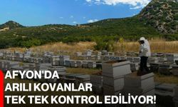 Afyon'da arılı kovanlar tek tek kontrol ediliyor!