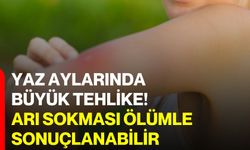 Yaz aylarında büyük tehlike! Arı sokması ölümle sonuçlanabilir