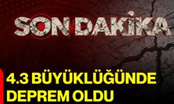 4.3 büyüklüğünde deprem oldu