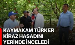 Kaymakam Türker kiraz hasadını yerinde inceledi