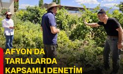Afyon’da tarlalarda kapsamlı denetim