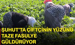 Şuhut’ta çiftçinin yüzünü taze fasulye güldürüyor