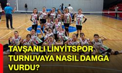 Tavşanlı Linyitspor, turnuvaya nasıl damga vurdu?