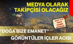 Duyarsızlığın bedelini doğa ödüyor