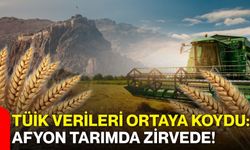 TÜİK verileri ortaya koydu: Afyon tarımda zirvede!
