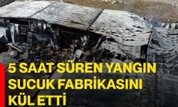5 saat süren yangın sucuk fabrikasını kül etti