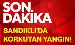 Sandıklı’da korkutan yangın!